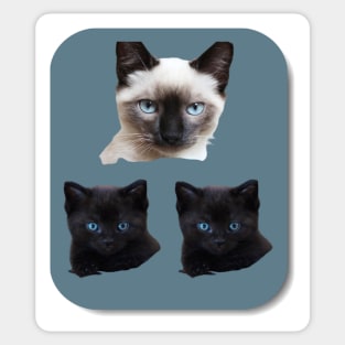 kittens Sticker